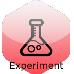 Experiment