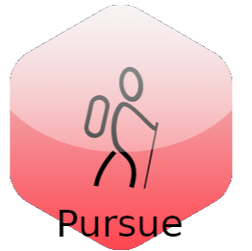 Pursue